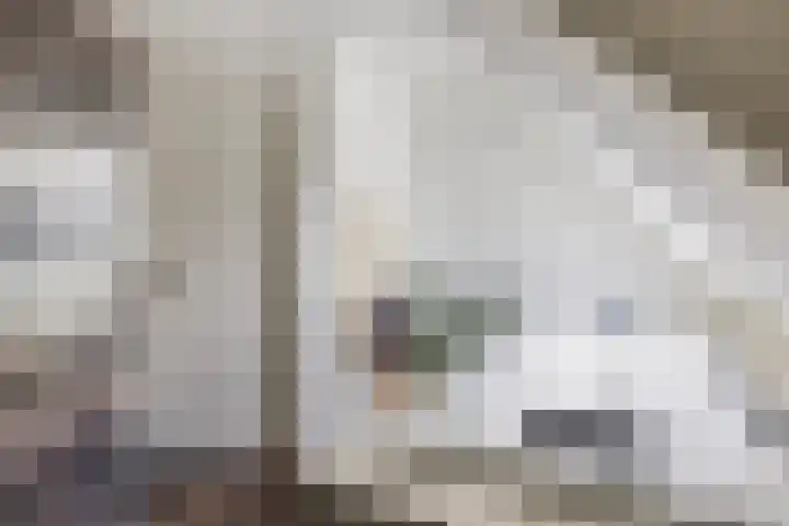 Spijkerboor 71 Sneek thumbnail 58