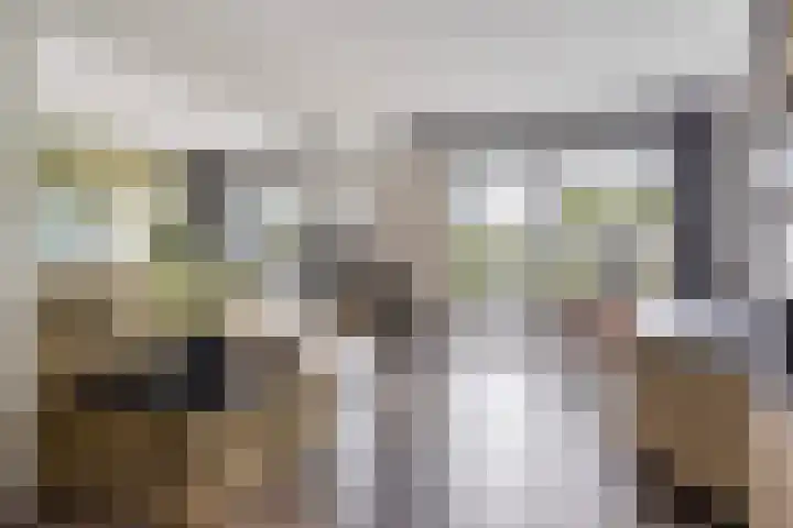 Spijkerboor 71 Sneek thumbnail 8