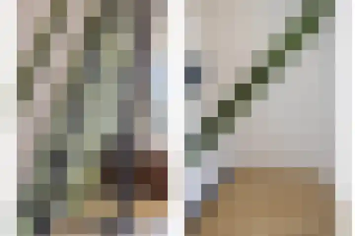 Spijkert 25 Eindhoven thumbnail 14