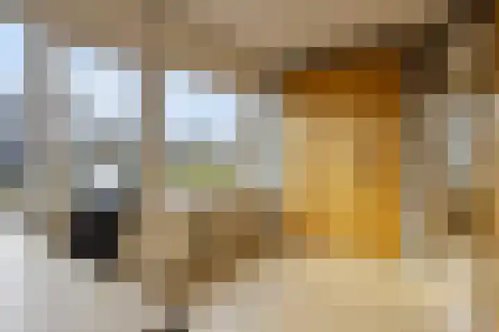 Spijkert 25 Eindhoven thumbnail 35