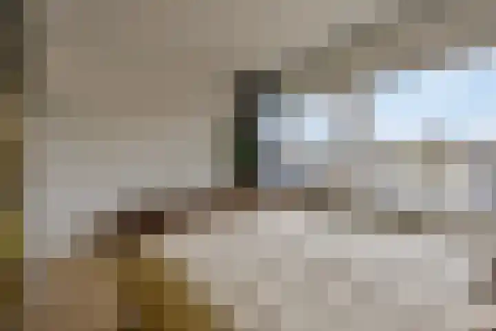 Spijkert 25 Eindhoven thumbnail 39