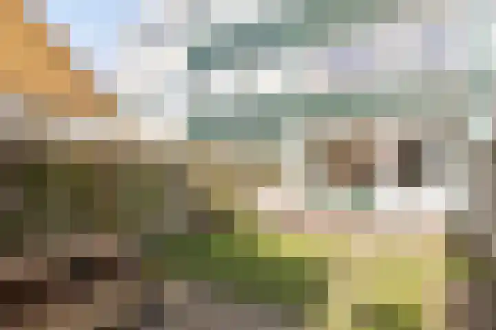Spijkert 25 Eindhoven thumbnail 44
