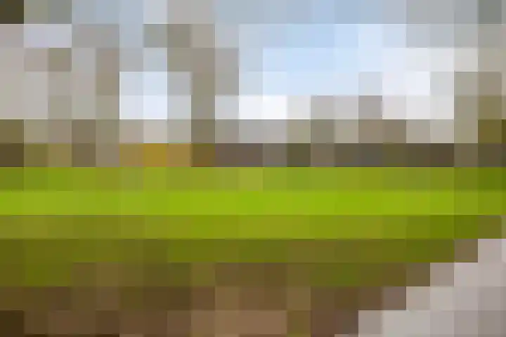 Spijkert 25 Eindhoven thumbnail 47