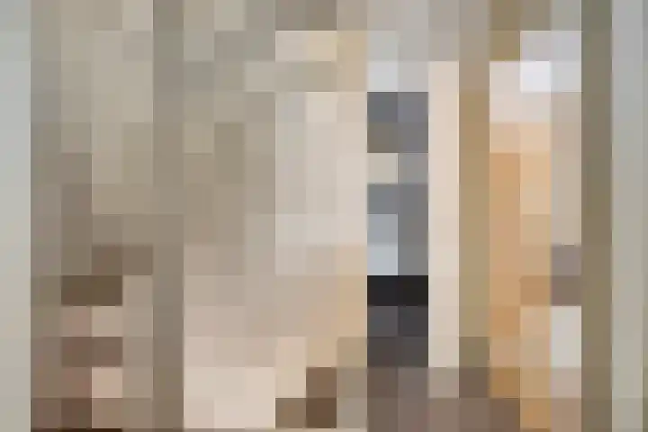 Spijkpad 21 Eefde thumbnail 16