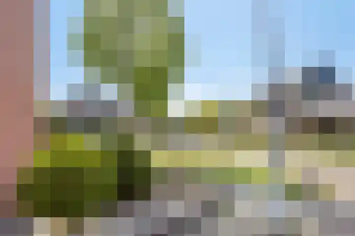 Spijkpad 21 Eefde thumbnail 33