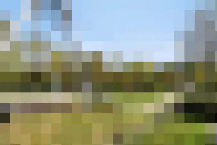 Spijkpad 21 Eefde thumbnail 34