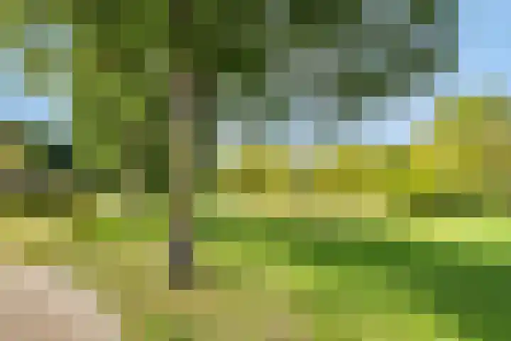 Spijkpad 21 Eefde thumbnail 35