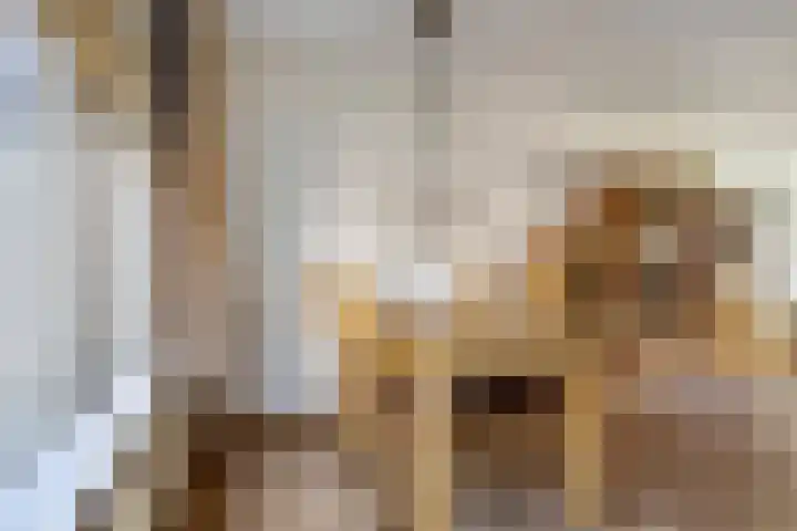 Spijkpad 21 Eefde thumbnail 9