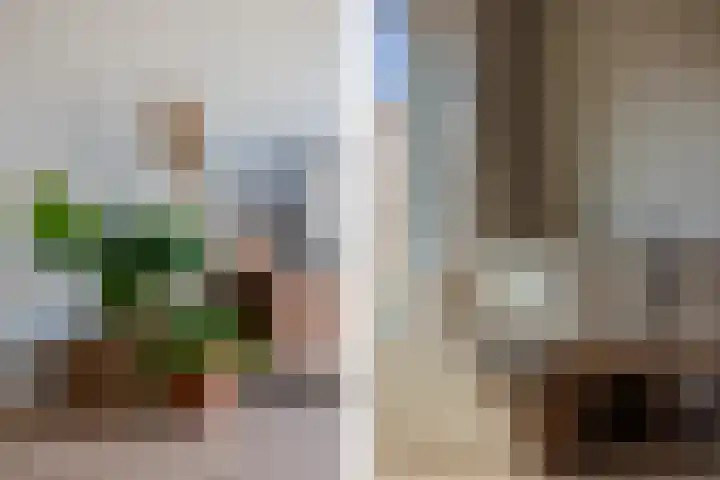 Spijkstra-Bruijnhof 14 Lent thumbnail 15