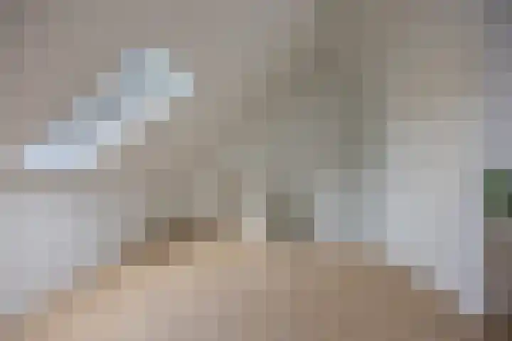 Spijkstra-Bruijnhof 14 Lent thumbnail 29