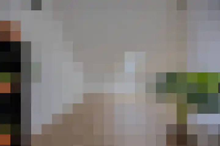 Spijkstra-Bruijnhof 14 Lent thumbnail 31