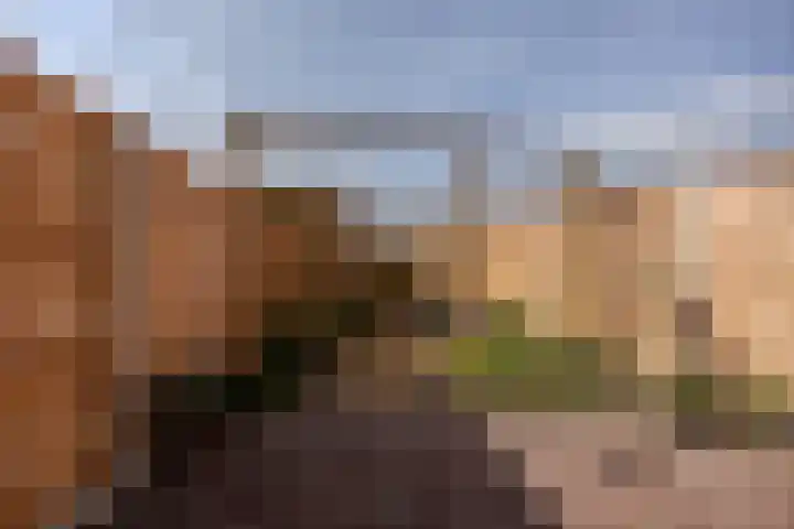 Spijkstra-Bruijnhof 14 Lent thumbnail 34