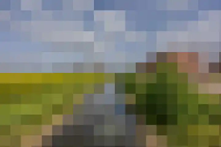 Spijkstra-Bruijnhof 14 Lent thumbnail 42