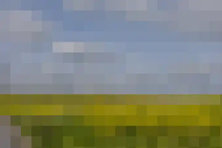 Spijkstra-Bruijnhof 14 Lent thumbnail 43
