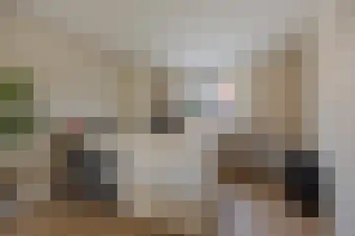 Spijkstra-Bruijnhof 14 Lent thumbnail 7