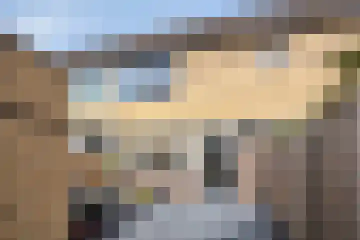 Spilstraat 75 Alkmaar thumbnail 21