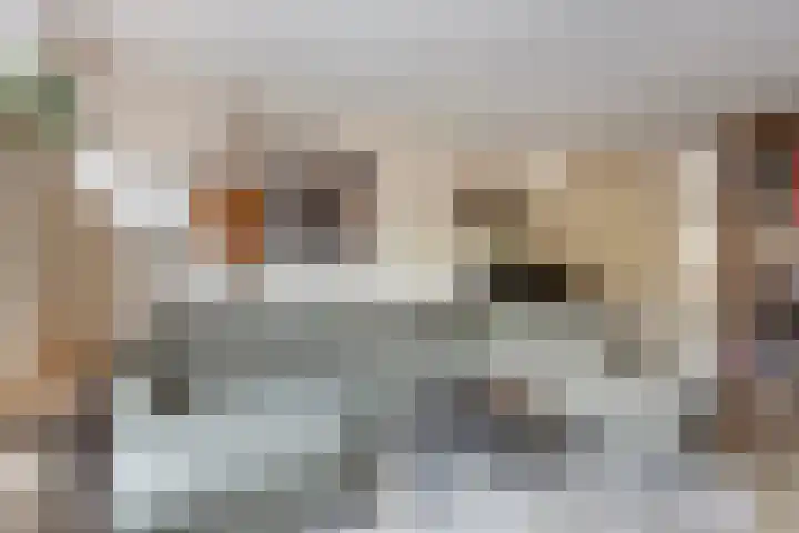 Spilstraat 75 Alkmaar thumbnail 8