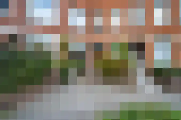 Spinaker 111 in Amsterdam