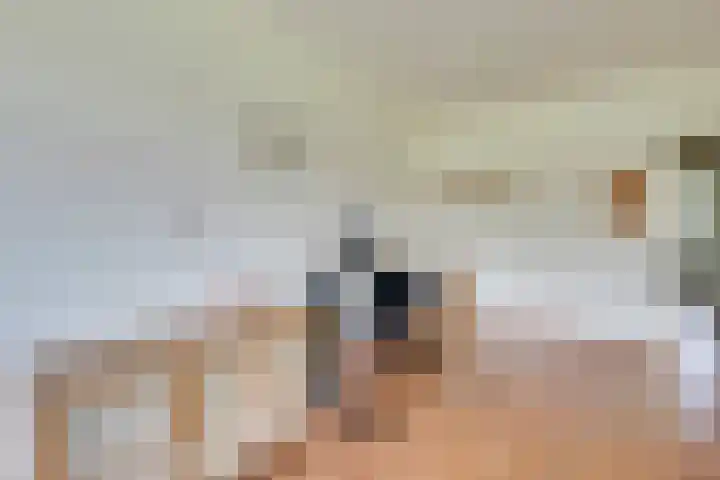 Spinaker 113 Amsterdam thumbnail 16