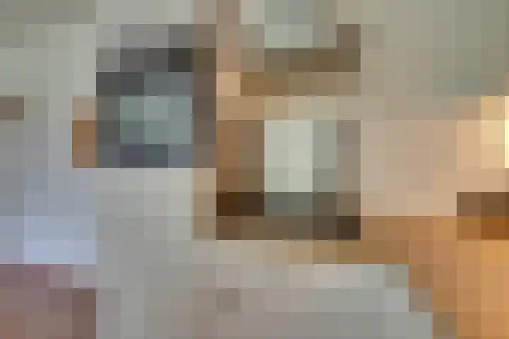 Spinaker 113 Amsterdam thumbnail 21