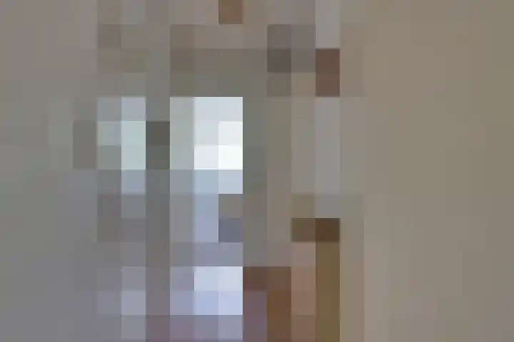 Spinaker 113 Amsterdam thumbnail 27