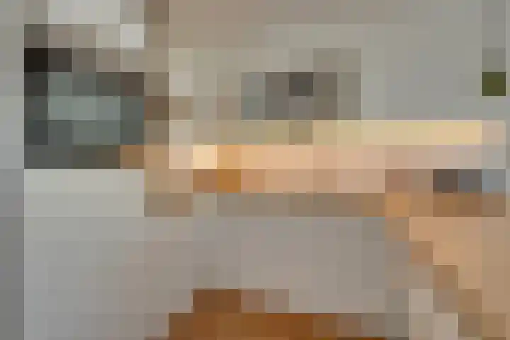 Spinaker 113 Amsterdam thumbnail 4