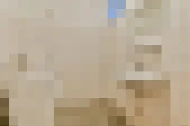 Spinaker 153 Amsterdam thumbnail 16