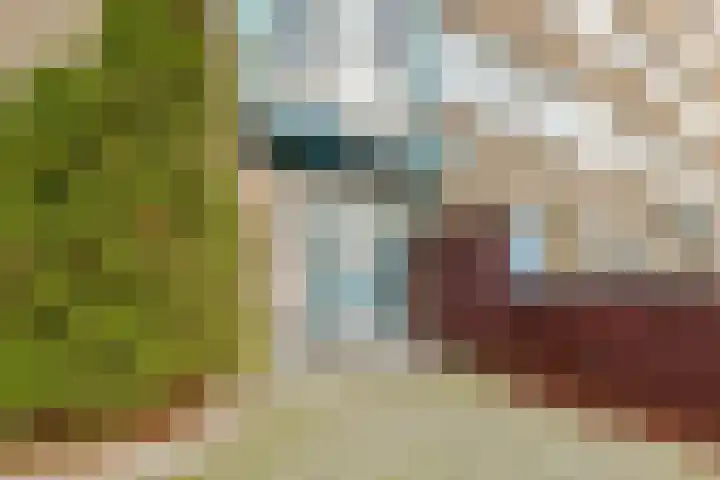 Spinaker 153 Amsterdam foto 2