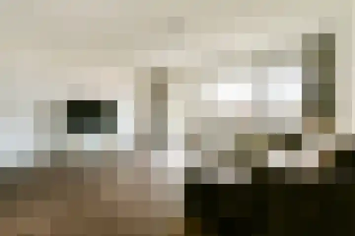 Spinaker 153 Amsterdam thumbnail 6