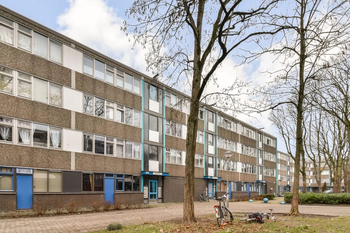 Spinaker 49 in Amsterdam