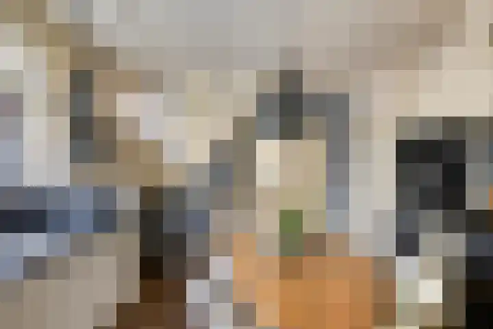 Spinbaan 4 Doetinchem thumbnail 20