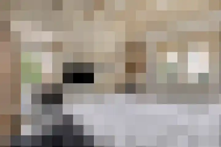 Spinbaan 4 Doetinchem thumbnail 4
