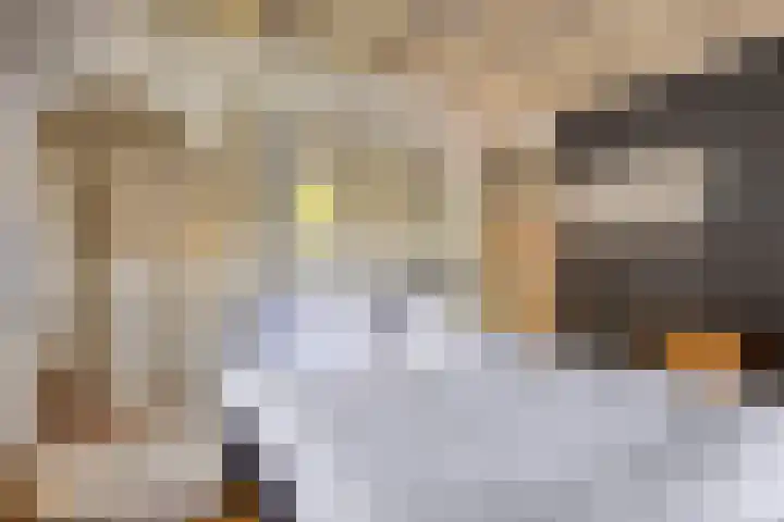Spinbaan 4 Doetinchem thumbnail 43