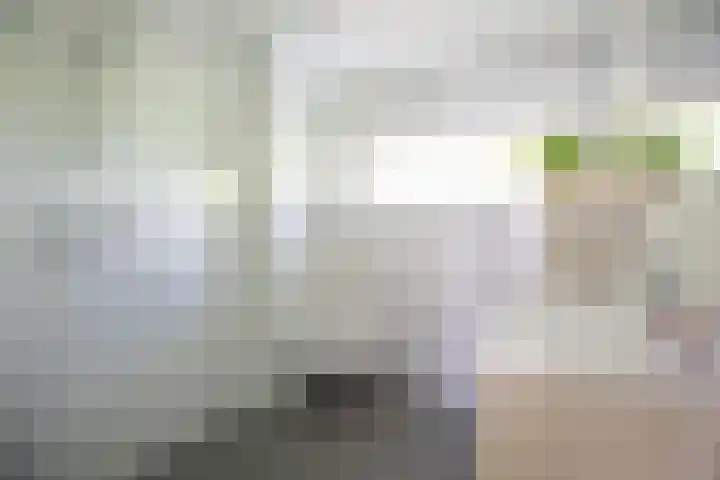 Spindermolen 5 Hardinxveld-Giessendam thumbnail 15