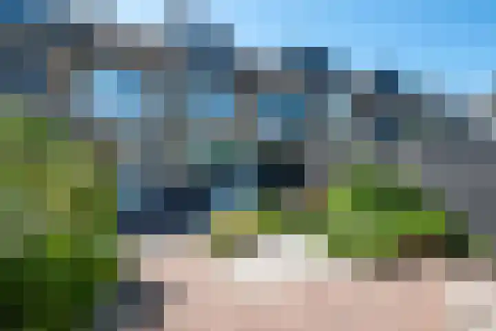 Spindermolen 5 Hardinxveld-Giessendam thumbnail 19