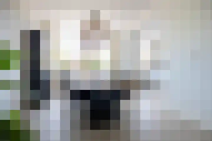 Spindermolen 5 Hardinxveld-Giessendam thumbnail 6