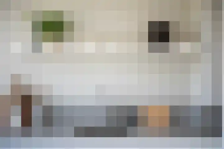 Spindermolen 5 Hardinxveld-Giessendam thumbnail 8