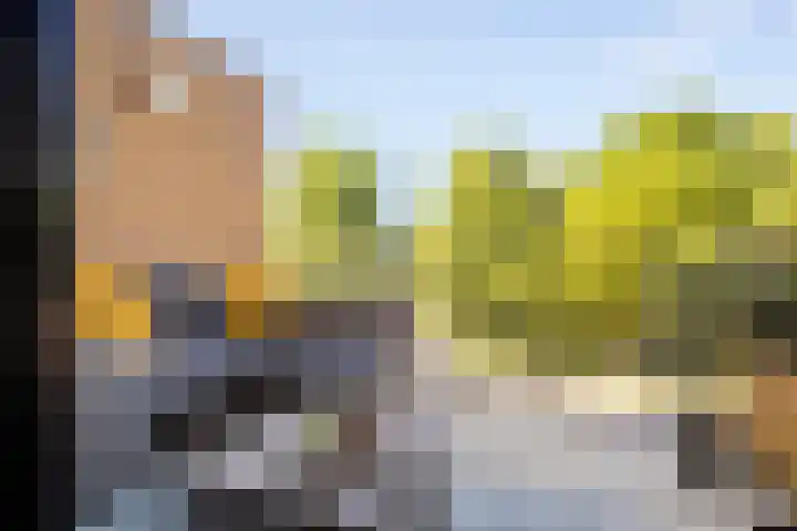 Spinderweg 115 Ede thumbnail 4