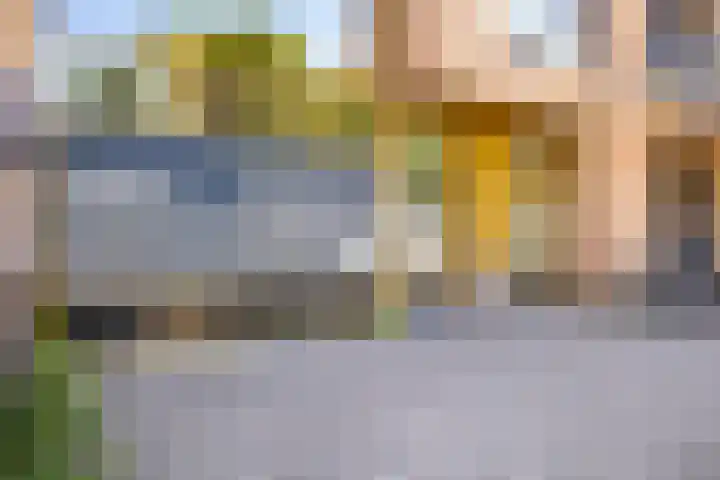 Spinderweg 115 Ede thumbnail 5