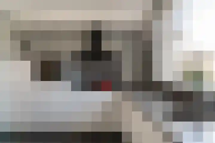 Spinet 28 Zevenaar thumbnail 22