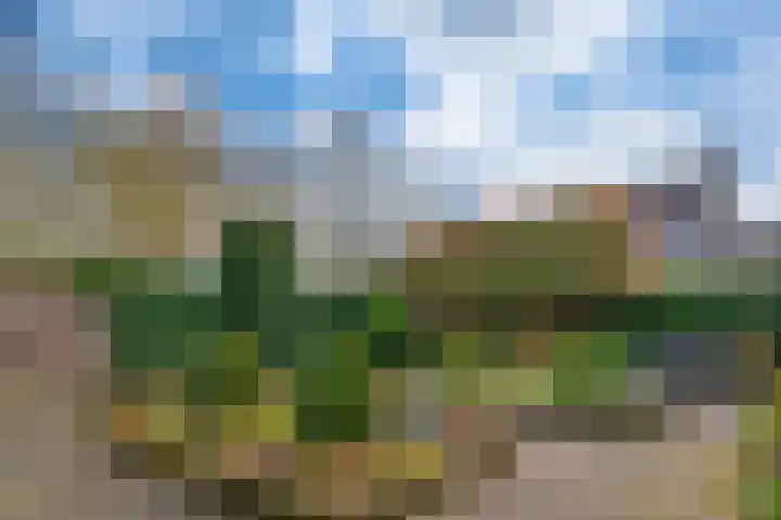 Spinet 28 Zevenaar thumbnail 25