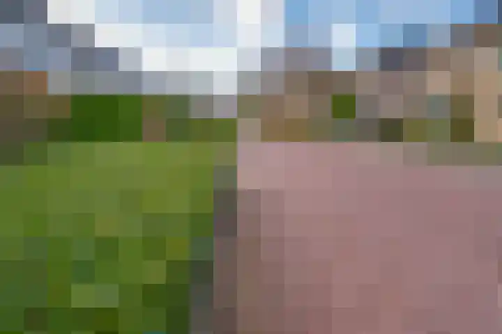 Spinet 28 Zevenaar thumbnail 6