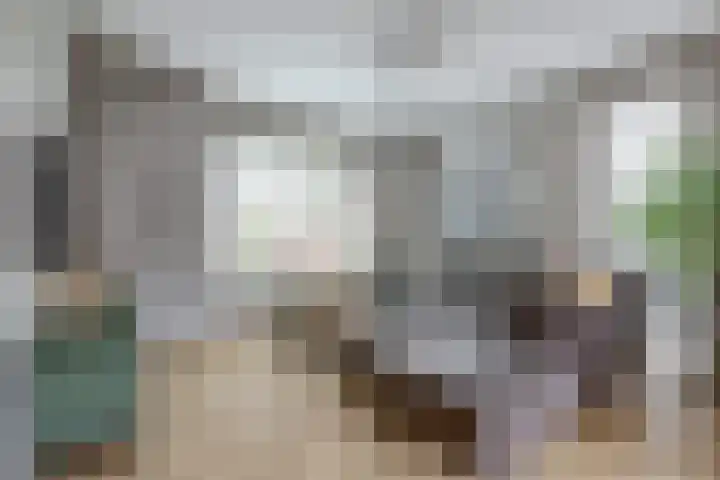 Spinet 37 Zevenaar thumbnail 15