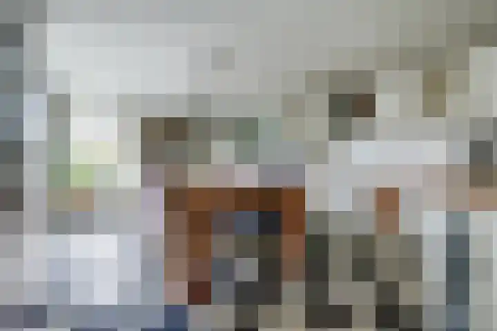 Spinet 37 Zevenaar thumbnail 17