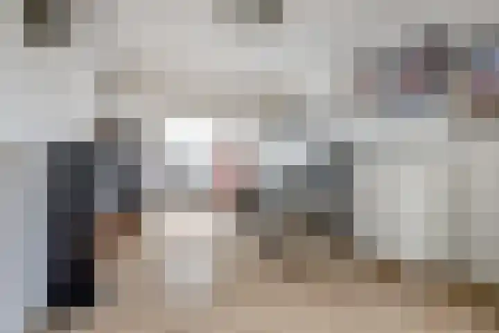 Spinet 37 Zevenaar thumbnail 33