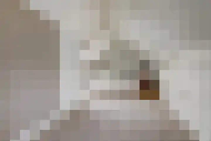 Spinet 37 Zevenaar thumbnail 42