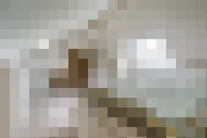 Spinet 37 Zevenaar thumbnail 43