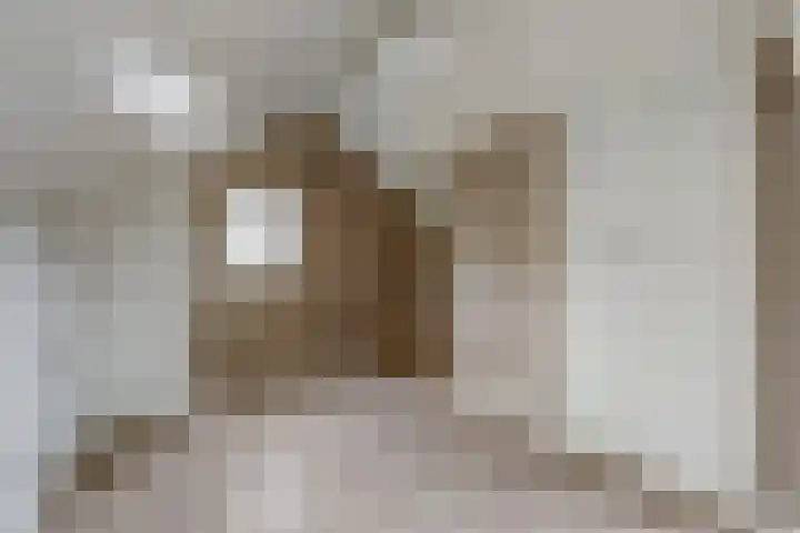 Spinet 37 Zevenaar thumbnail 44