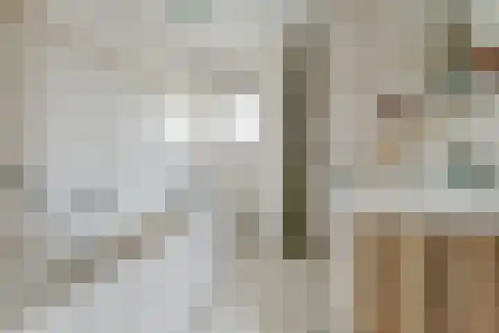 Spinet 37 Zevenaar thumbnail 45