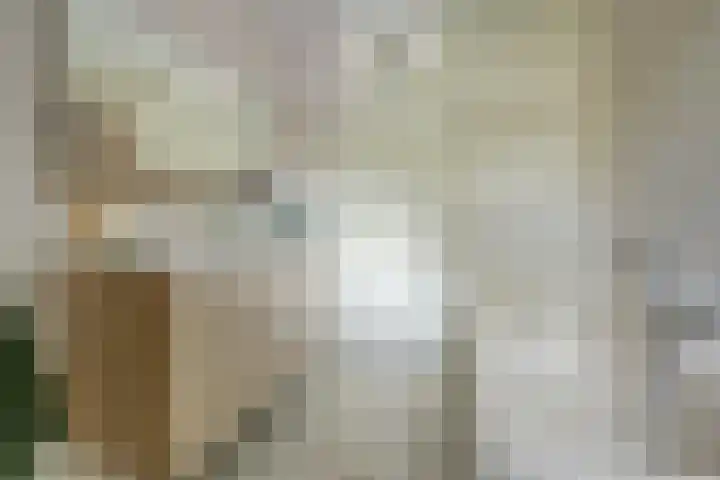Spinet 37 Zevenaar thumbnail 46